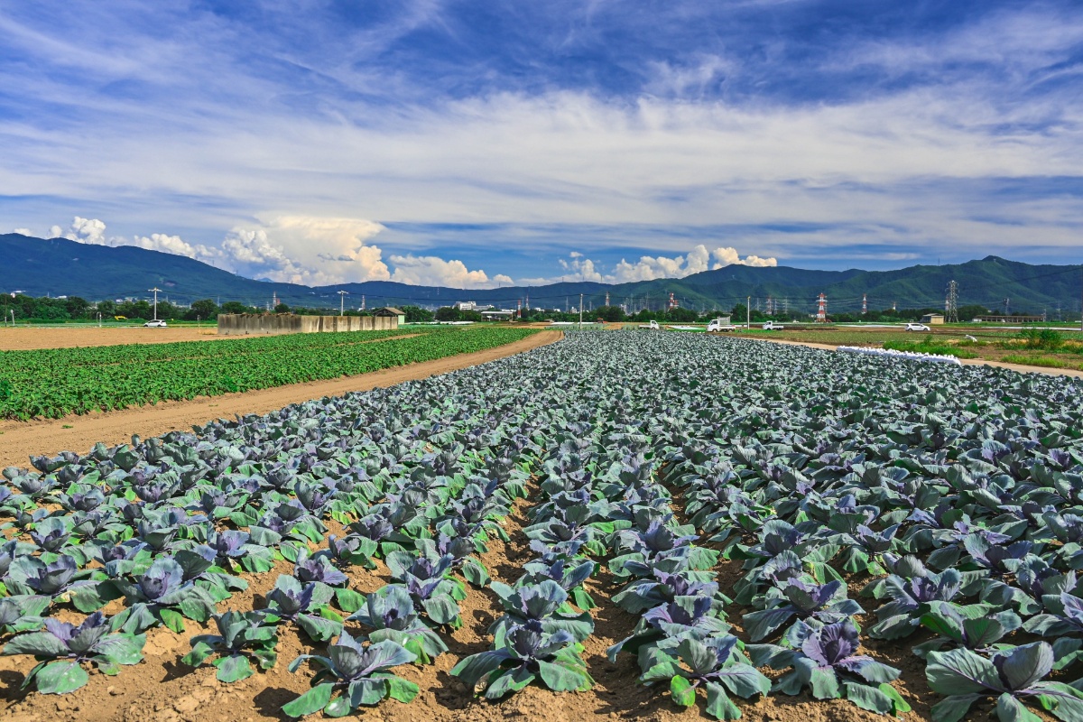 AdobeStock_1669572496_1920x1280